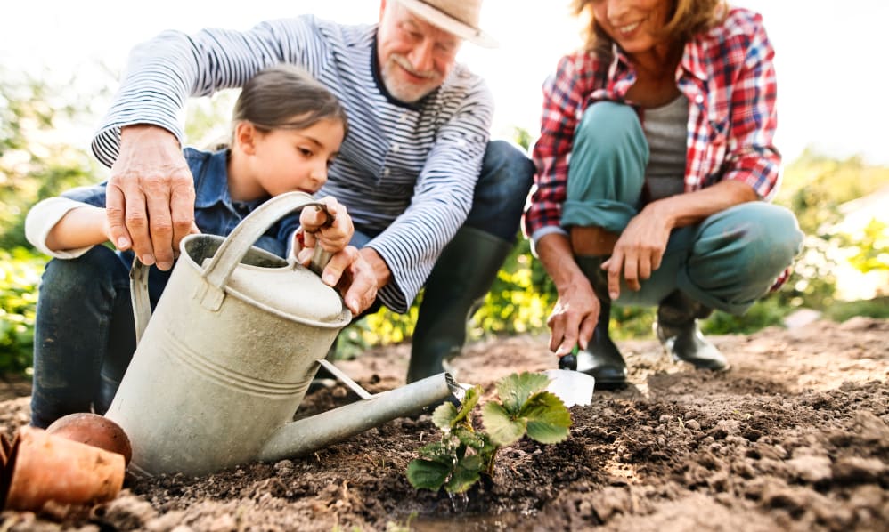 Northeast Albuquerque, NM Senior Living | About Amaran About Amaran